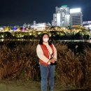 2021 태화강 빛 축제 이미지