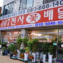００７천사꽃배달 이미지