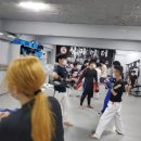 수연미트