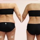 웰빙365다이어트 이미지