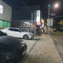 꿀돼지세상