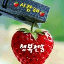 목요일아침