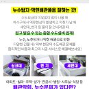 인선소아과의원 네이버블로그