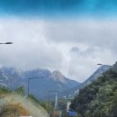 홍익목장 이미지