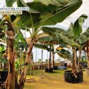 부자농약종묘사 이미지