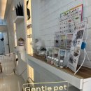 깔롱펫 | 울산 애견미용 깔롱펫 : 강아지를 진심으로 아끼는 곳