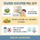 정석종합물류 | 모닝파파 초유단백질 효과 부작용 내돈내산후기 가격 알기