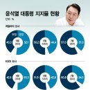 '벌써 30%대' 尹대통령 지지율, 당장 호재가 없다 이미지