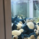 뽑기방GO 이미지