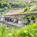 서곡낚시터 이미지