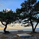 태안 청포대 독채가족 율라 이미지