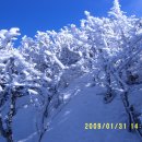 제주항연안여객터미널 이미지