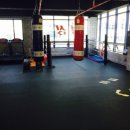 신진수 복싱클럽 이미지