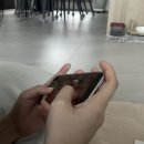 지윤육회연어 이미지
