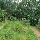 원창1리 이미지