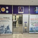 닥터한스
