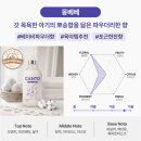 첨담기업4로1L-7 | 칸토 다 써봤는데 결국 몽베베로 정착했어요 자동투입구 사용 가능한 묽은 제형 섬유유연제 찾기