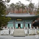 신라방역공사 이미지