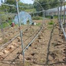 덕도주유소 이미지