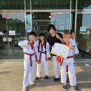 용인대서원태권도장 이미지
