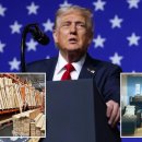 트럼프, 목재 10% 관세 발표, 주방 캐비닛·가구 25% 관세 연기 이미지