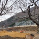 느티나무주유소 이미지