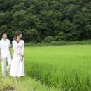 참좋은인연 이미지