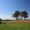 라온목장 이미지