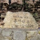 서울망우초등학교 | 서울둘레길 4코스 망우 용마산코스 용마산 스카이워크