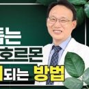 멜라토닌 수면 효과 복용법 이미지