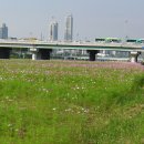 도림천역 이미지