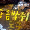 천곡황금박쥐동굴 이미지