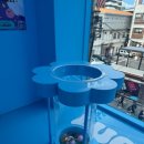 럭키팝(Lucky POP) 이미지