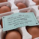 참샘골농장 이미지