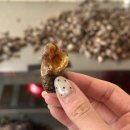 마산마을 | 마산 진동고현횟집 그리고 고현마을 미더덕직판장 방문후기