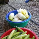 물결캠핑장 이미지