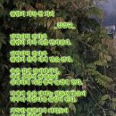 풀향기 이미지