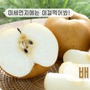 본가한의원 이미지