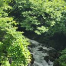 셀메드단골약국 이미지