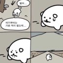 어린이 대상 영양, 위생 아동극 | 어린이급식관리지원센터, 어급센 | 서류 후기/면접 후기/취업 후기/합격후기