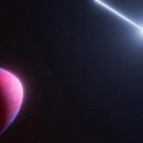 only one P.T fitness 이미지