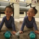 헝클머리 이미지