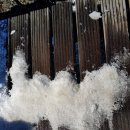 지난주말 서귀포 갯바위 낚시 후기 이미지