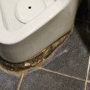 도봉-도봉-서울도봉-2212 이미지