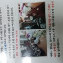 스파크텔 이미지