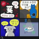 준카 이미지