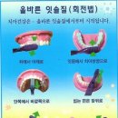 올바른 치아 관리법 이미지