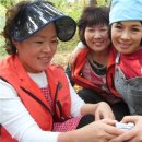 일요농장 이미지