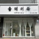 올데이독 이미지