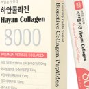 닥터코스랩